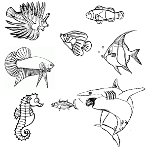 desene de colorat desene animate